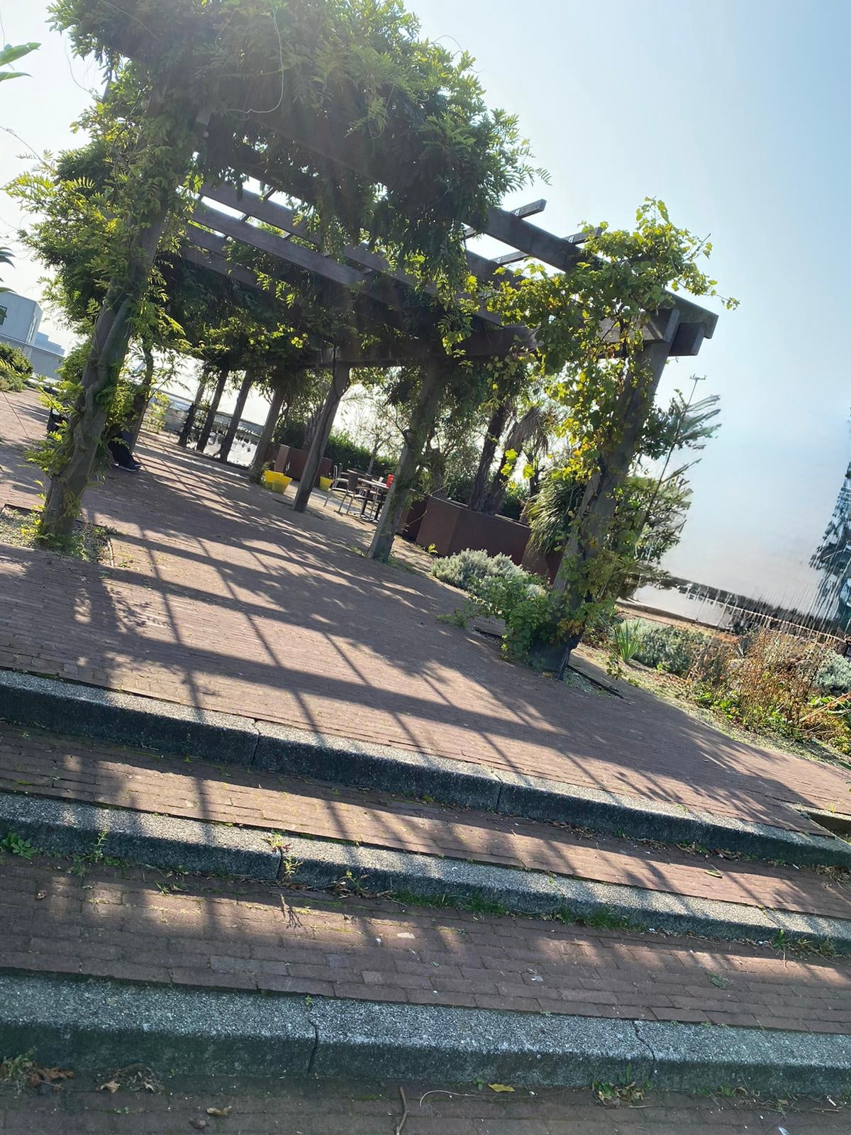 Het Vlinderpaviljoen