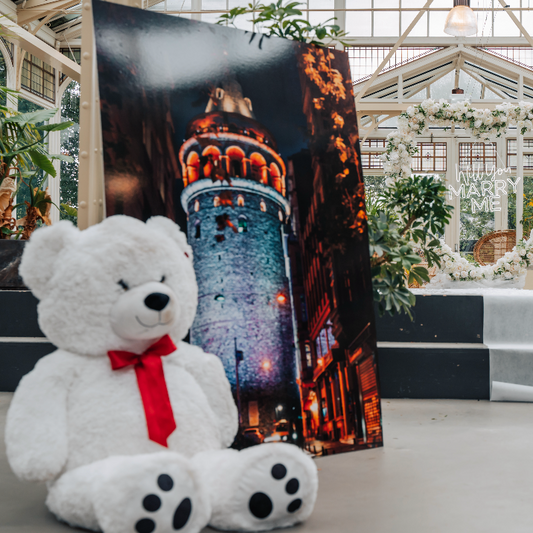 Grote Teddybeer