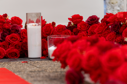 TRES Gardens - White Garden (inclusief decoratie)